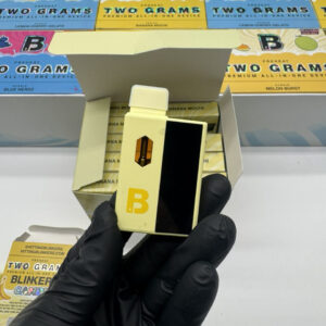 BLINKERS 2G DISPOSABLE + HASH HOLE (BONUS ITEM)