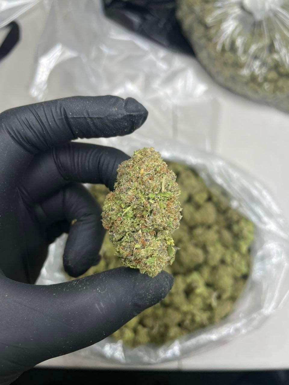 Close up shot of premium Atomic Cherry exotic cannabis flower bud showing dense green structure covered in frosty trichomes and orange hairs