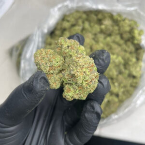 Close up shot of premium Atomic Cherry exotic cannabis flower bud showing dense green structure covered in frosty trichomes and orange hairs