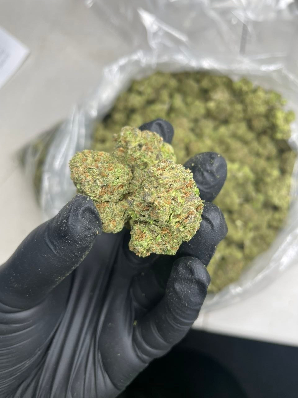 Close up shot of premium Atomic Cherry exotic cannabis flower bud showing dense green structure covered in frosty trichomes and orange hairs