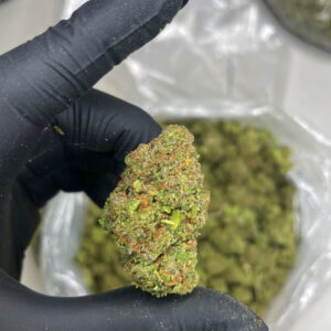 Close up shot of premium Atomic Cherry exotic cannabis flower bud showing dense green structure covered in frosty trichomes and orange hairs