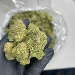 Close up shot of premium Atomic Cherry exotic cannabis flower bud showing dense green structure covered in frosty trichomes and orange hairs