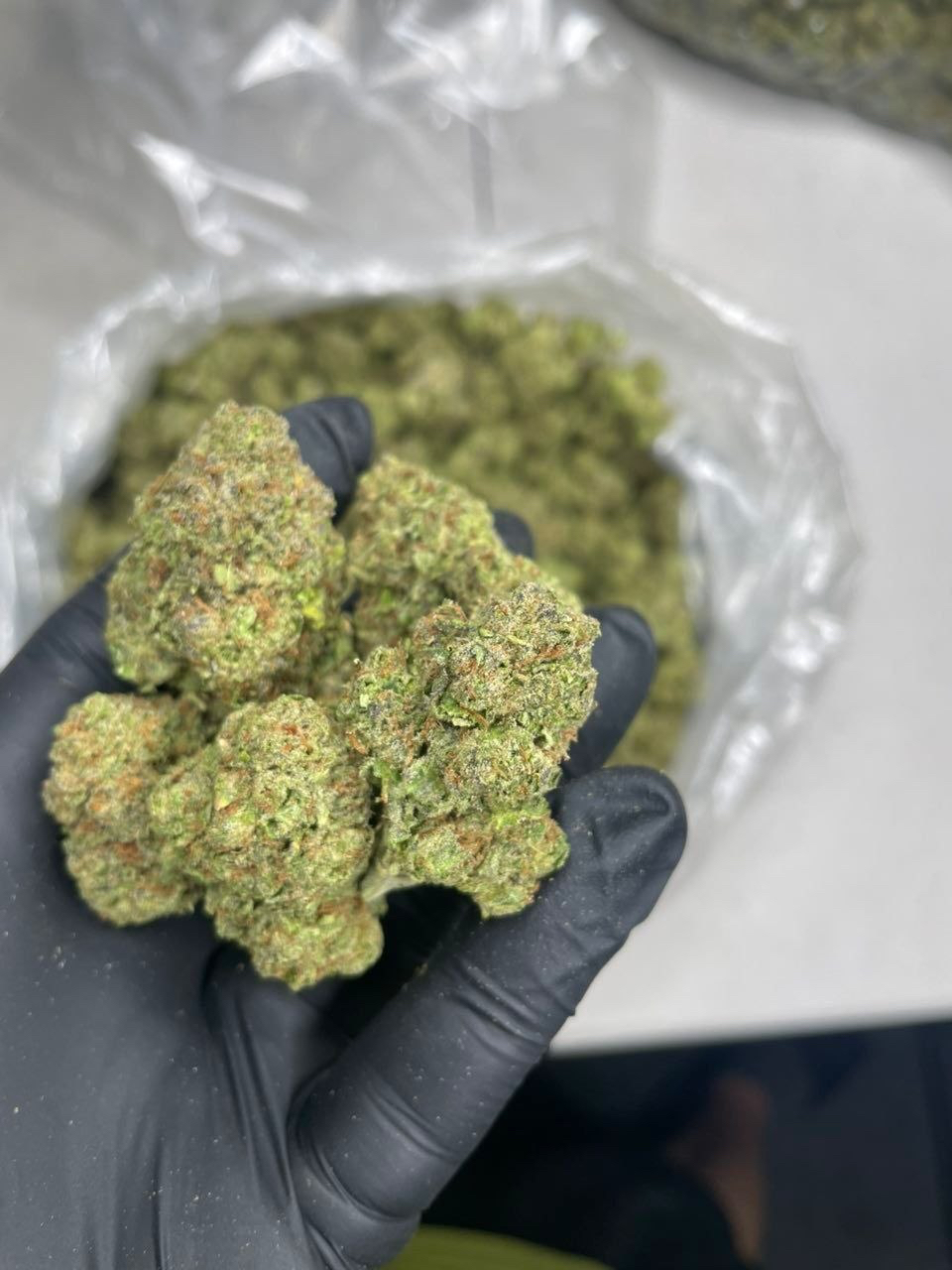 Close up shot of premium Atomic Cherry exotic cannabis flower bud showing dense green structure covered in frosty trichomes and orange hairs