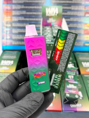 Buy authentic Whole Melt V5 2G dual chamber disposable online
