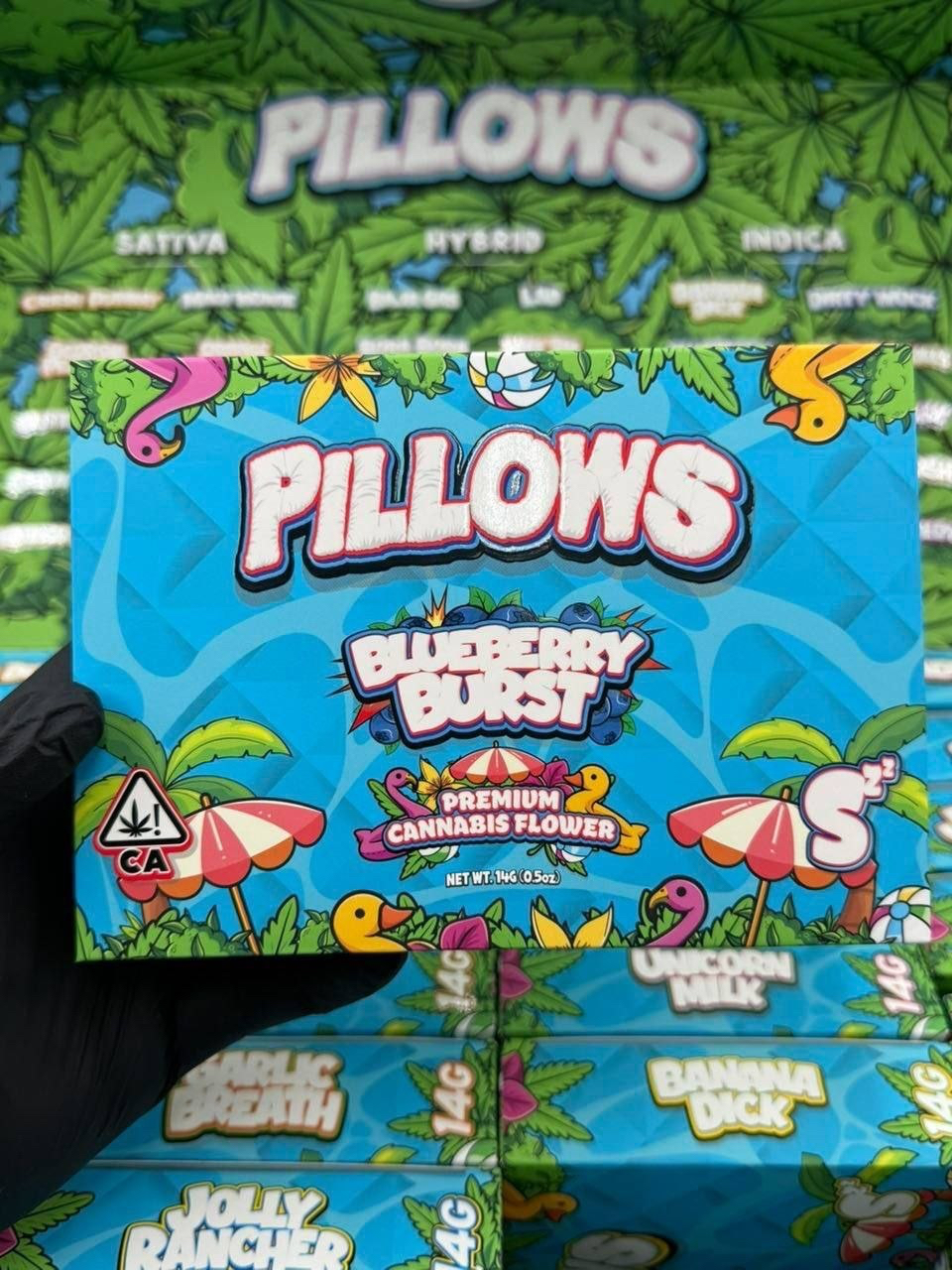 Pillows Premium exotic cannabis flower buds