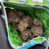 Pillows Premium exotic cannabis flower buds