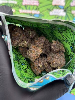 Pillows Premium exotic cannabis flower buds